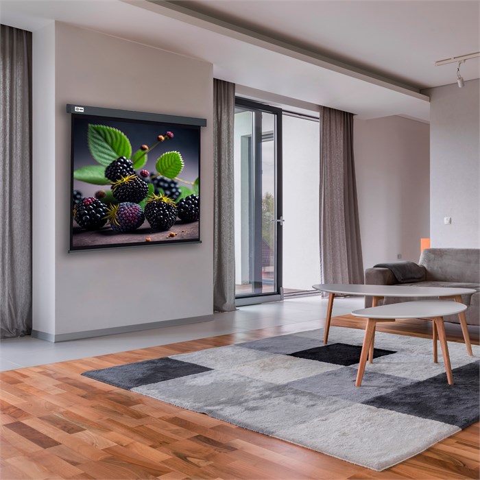 Экран  Cactus CS-PSW-127X127-SG 126248