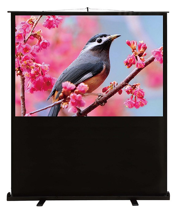 Экран  Cactus CS-PSFLCE-120X90 126428