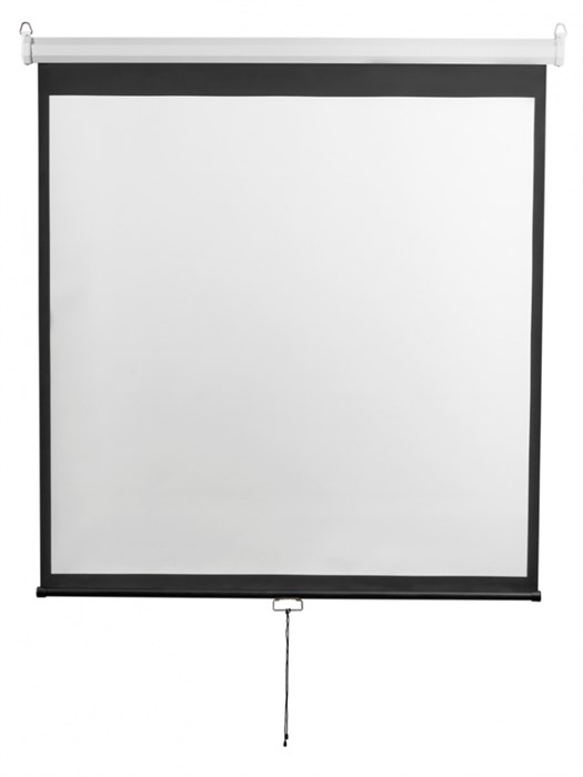 Экран  Digis DSOD-4306 126498