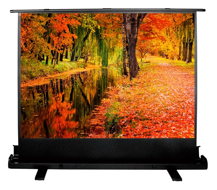 Экран  Cactus CS-PSFLE-200X150 126526