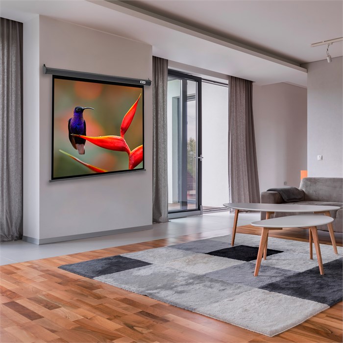 Экран  Cactus CS-PSSME-220X138-DG 126560