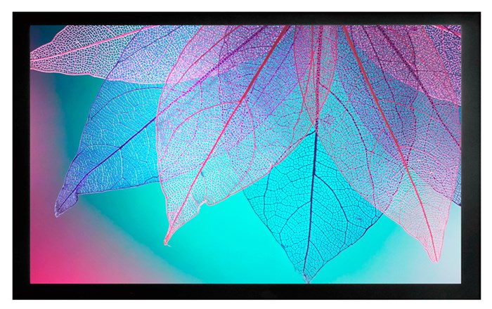 Экран  Cactus CS-PSFRE-220X124 126589