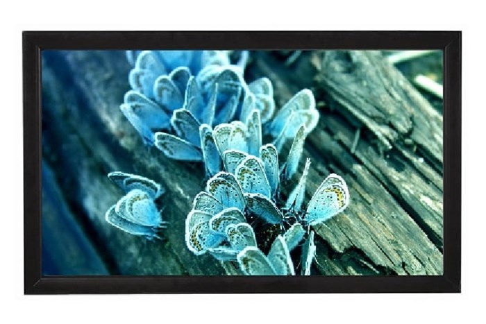 Экран  Viewscreen Omega OMG-16105 126641