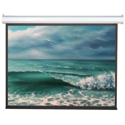 Экран  Viewscreen Antis EAN-16102 126717