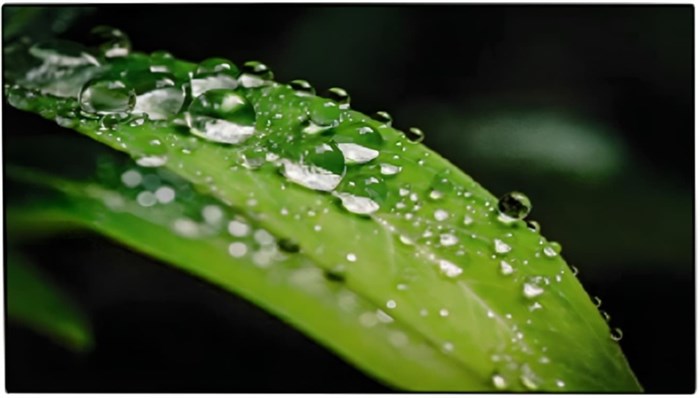 Панель LCD 55' Dahua DHI-LS550UEM-UG 126753