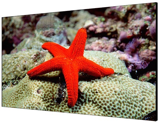 Панель LCD 55' HIKVISION DS-D2055LR-G 126783