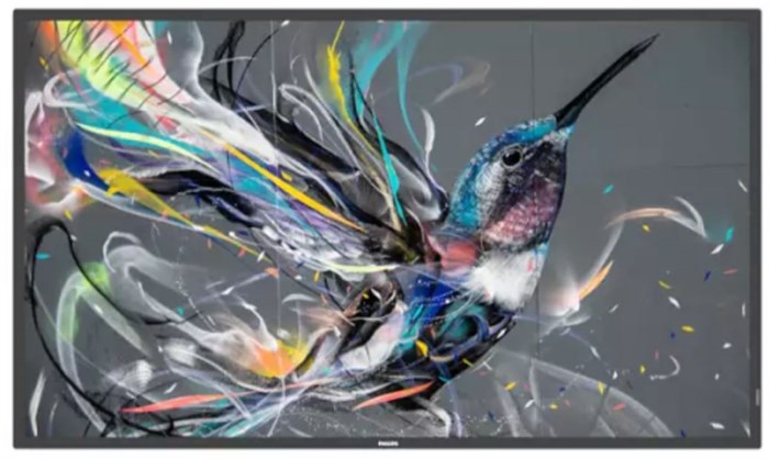 Информационный дисплей 86" Philips 86BDL3511Q 126860