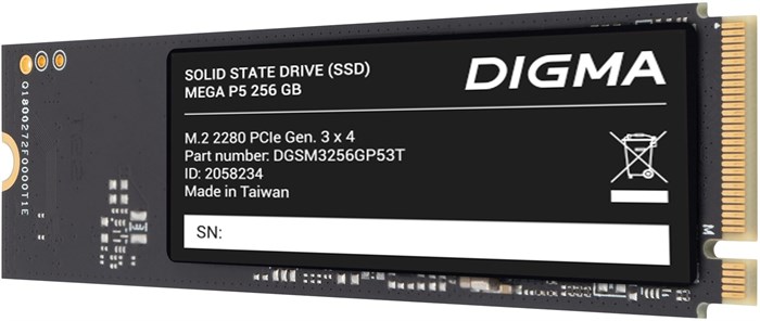 Накопитель SSD M.2 2280 Digma Mega P5 256 ГБ 103165