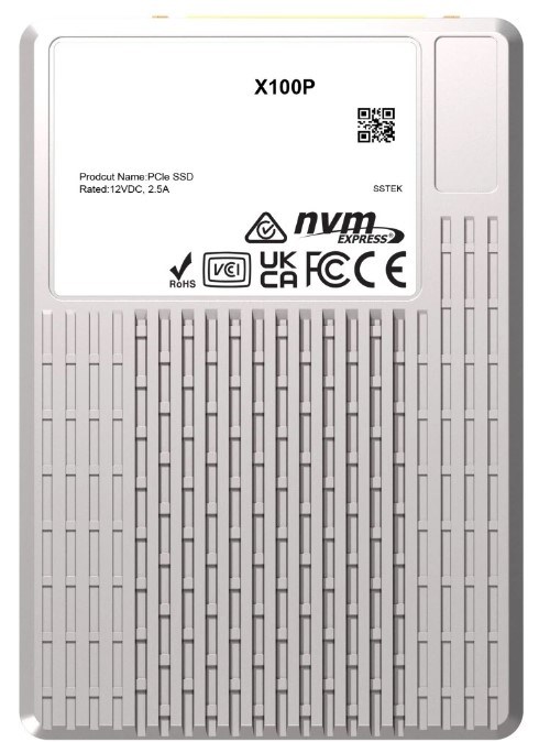 Накопитель SSD U.3 Phison X100P 130116