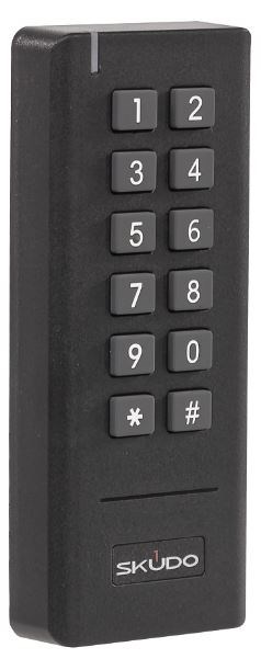 Считыватель  Skudo SK-RC501KTD 133566