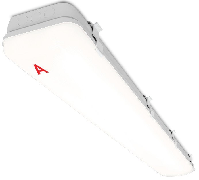 Светильник аварийного освещения WOLTA ДСП11-36-041-5К 153924