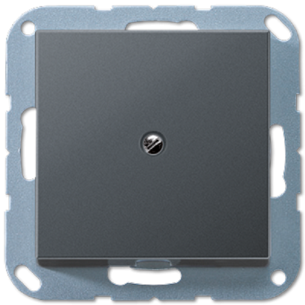 Вывод кабеля  Jung A590BFAANM 156847