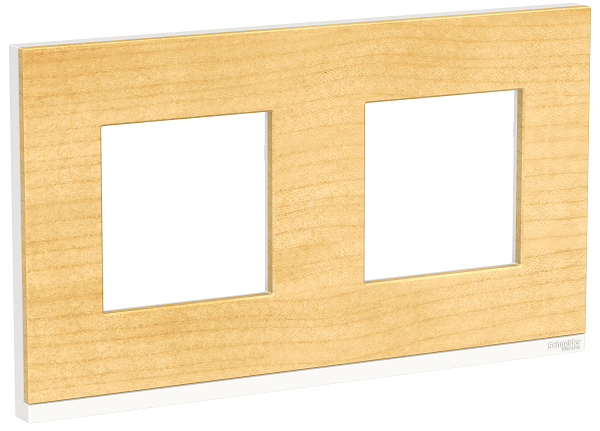 Рамка  Schneider Electric NU600483 156970