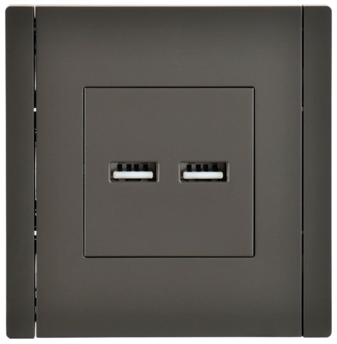 Розетка USB  IEK FP-U21-D31-K03 157093