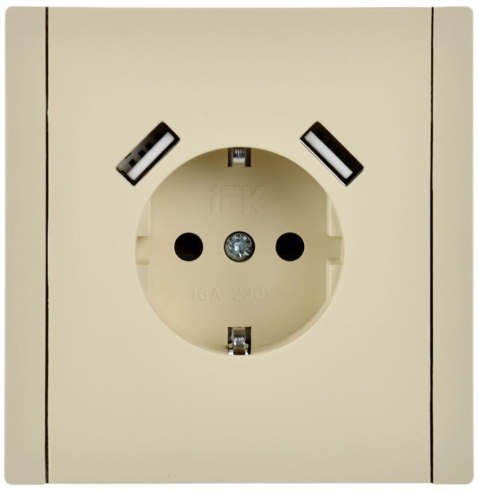 Розетка с заземлением с 2 USB  IEK FP-R14-16-U21-D31-K10 157177