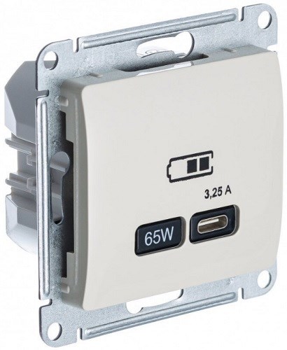 Розетка USB  Systeme Electric GSL000227 157179