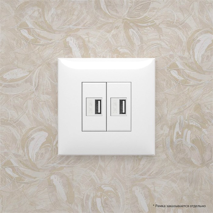 Розетка  DKC 4400543 157180