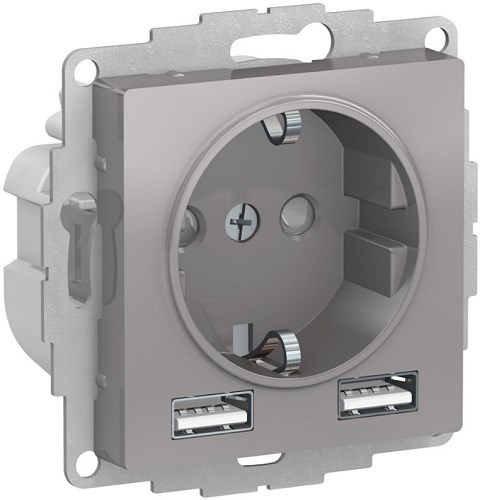Розетка с заземлением с 2 USB  Systeme Electric ATN000330 157228