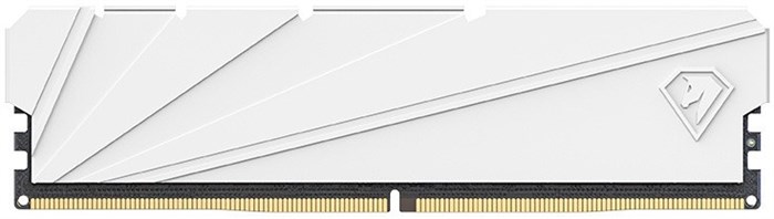 Модуль памяти DDR4 16GB Netac NTSSD4P32SP-16W 107801