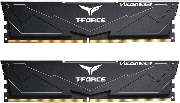 Модуль памяти DDR5 32GB (2*16GB) Team Group FLBD532G6000HC38ADC01 108316