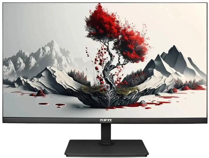 Монитор 23,8" RDW Computers 2401K/F00В3100V2A1H 110416