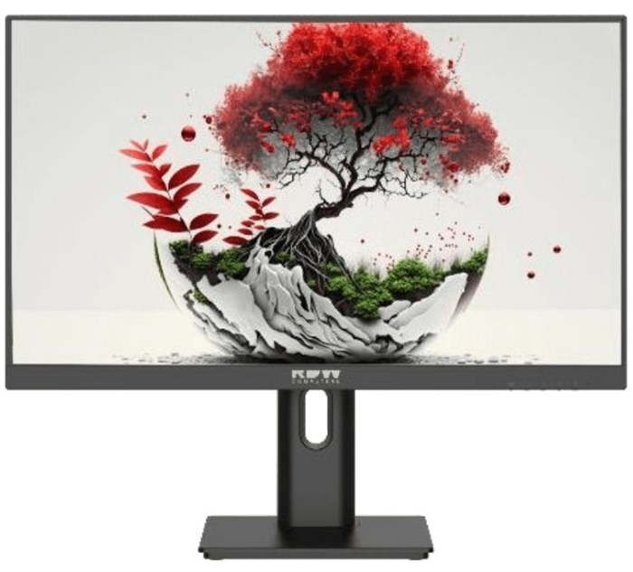 Монитор 23,8" RDW Computers RDW2401K 110420