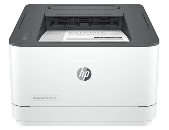 Принтер лазерный черно-белый HP LaserJet Pro 3003dw 120386