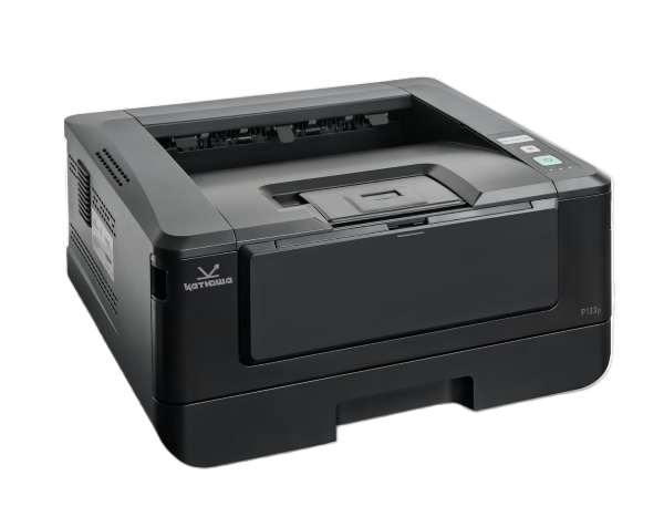 Принтер лазерный черно-белый Катюша P133-256 120498