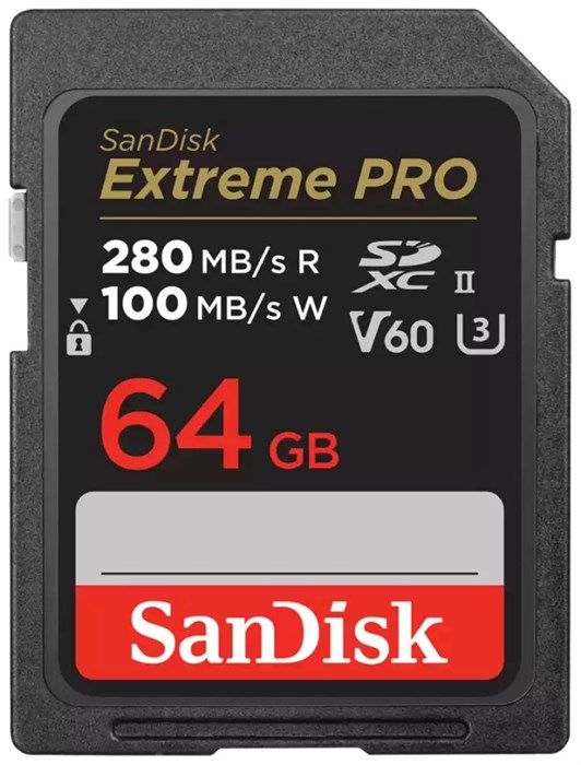 Карта памяти SDXC 64Gb SanDisk SDSDXEP-064G-GN4IN 122043