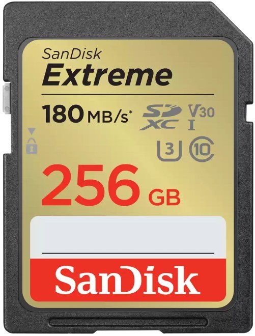 Карта памяти SDXC 256Gb SanDisk SDSDXVV-256G-GNCIN 122057