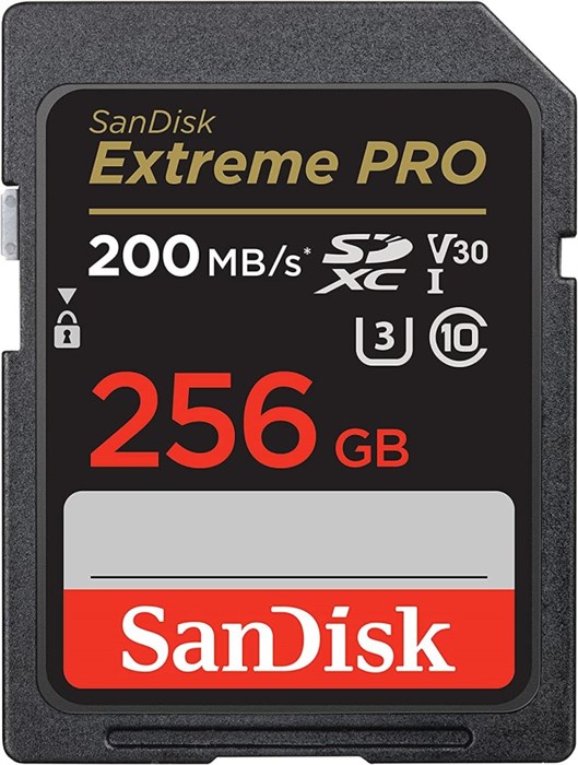 Карта памяти SDXC 256Gb SanDisk SDSDXXD-256G-GN4IN 122078
