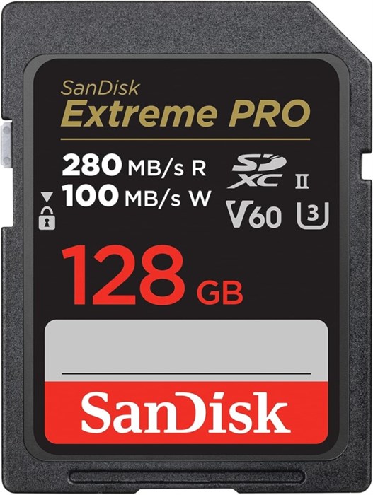 Карта памяти SDXC 128Gb SanDisk SDSDXEP-128G-GN4IN 122124