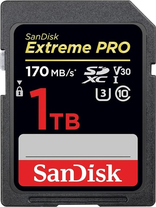 Карта памяти SDXC 1TB SanDisk SDSDXXY-1T00-GN4IN 122148