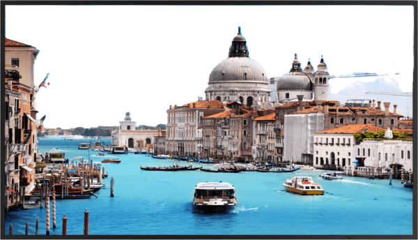 Монитор 42,5" Dahua DHI-LM43-S200 124060