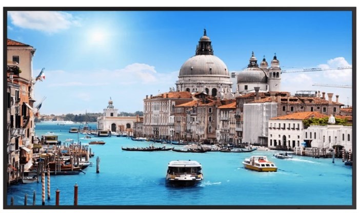 Монитор 55" Dahua DHI-LM55-S200 124061