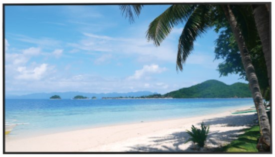 Монитор 55" Dahua LM55-S400 124062