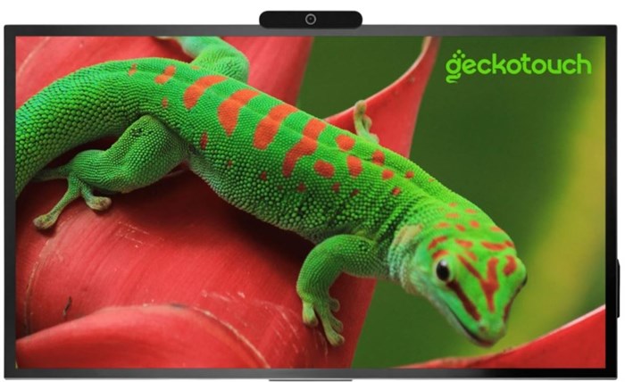 Интерактивный комплекс  Geckotouch 65R 125742