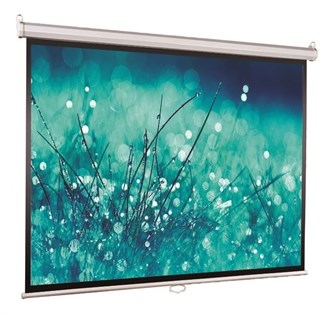 Экран  Viewscreen Scroll WSC-16902 126238