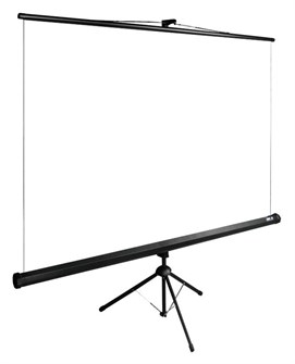 Экран  Cactus CS-PSTE-160X160-BK 126280