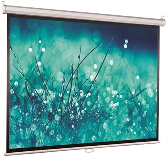 Экран  Viewscreen Scroll WSC-1103 126321