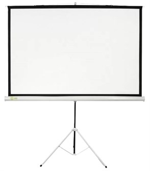 Экран  Cactus CS-PST-124X221 126325