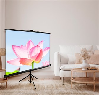 Экран  Cactus CS-PST-104X186 126430