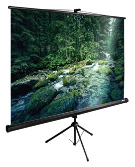 Экран  Cactus CS-PSTE-220X165-BK 126471