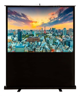 Экран  Cactus CS-PSFLCE-180X135 126494