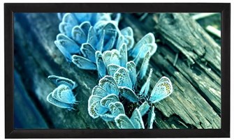 Экран  Viewscreen Omega OMG-16103 126605