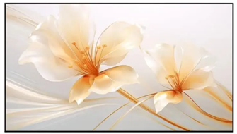 Экран  XGIMI 100