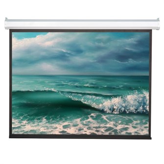 Экран  Viewscreen Antis EAN-4301 126694