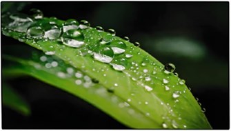 Панель LCD 55' Dahua DHI-LS550UDH-UG 126752