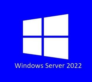 ПО (комплект) ОЕМ Microsoft Windows 2022 Standard Server English 16 Core OEI DVD Pack 130162