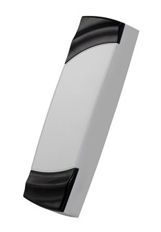 Считыватель  Parsec PNR-EH19 (серый) 133251